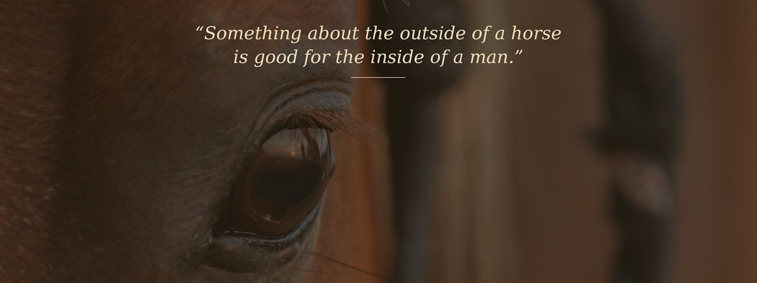 Eye of Horse Eye of Horse