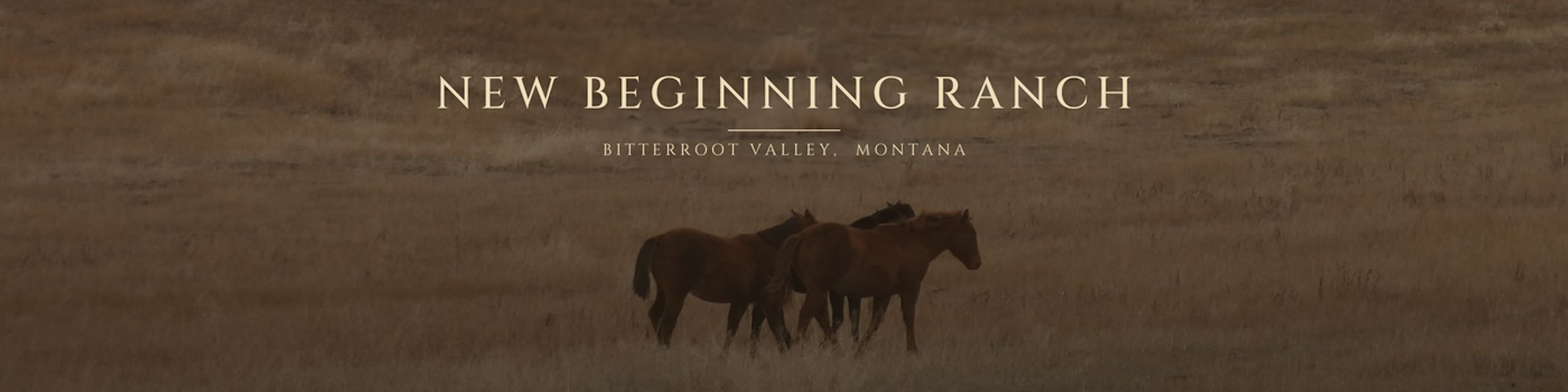 New Beginning Ranch New Beginning Ranch