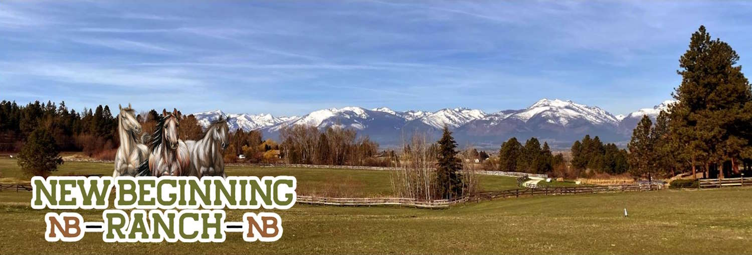 New Beginning Ranch Banner New Beginning Ranch Banner