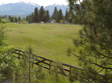Looking towards House