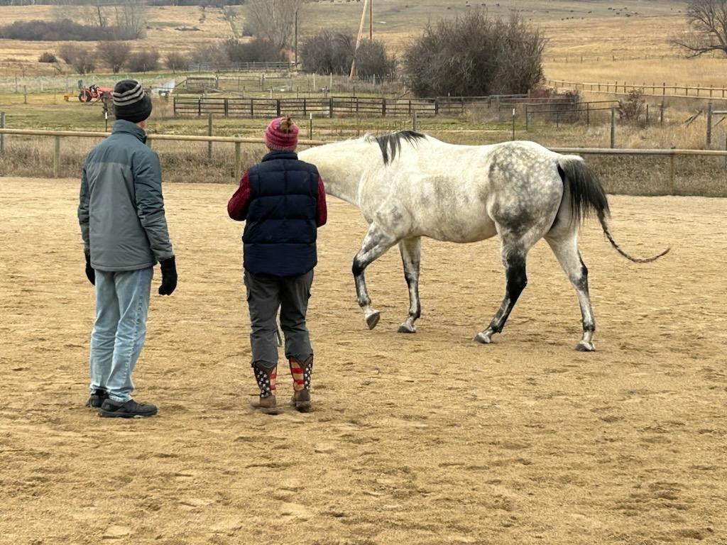 Kathi with client in arena at New Beginning Ranch Kathi with client in arena