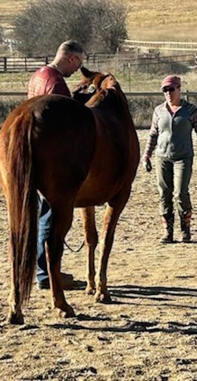 Kathi working with a client Kathi working with a client