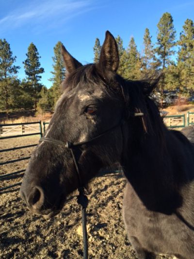 Even covered in Mud - Beautiful