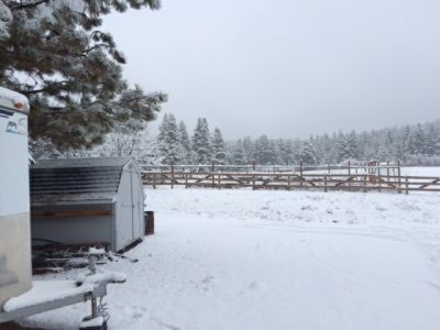 Pasture & Buildings at Ranch